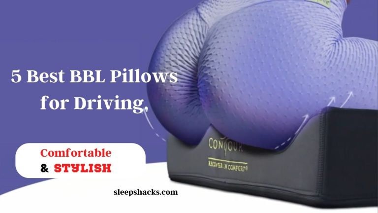 travel bbl pillow