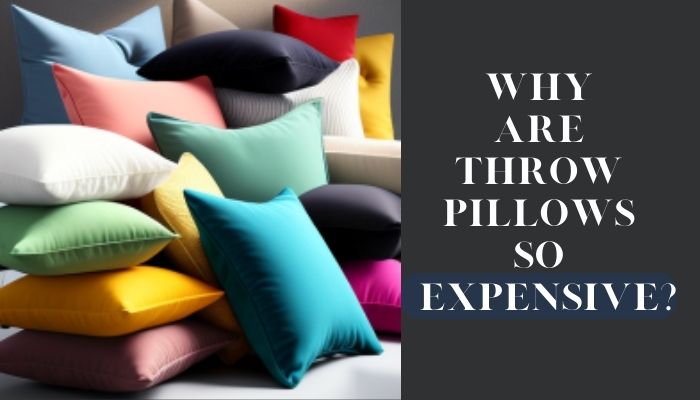 Why are Throw Pillows so Expensive