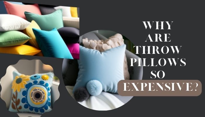 Why are Throw Pillows so Expensive
