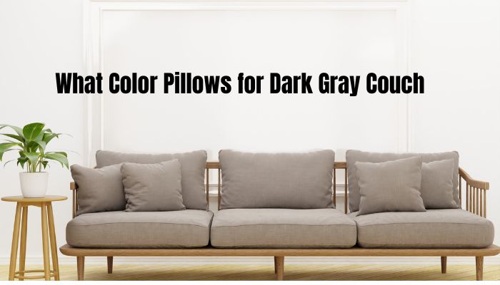 What Color Pillows for Dark Gray Couch