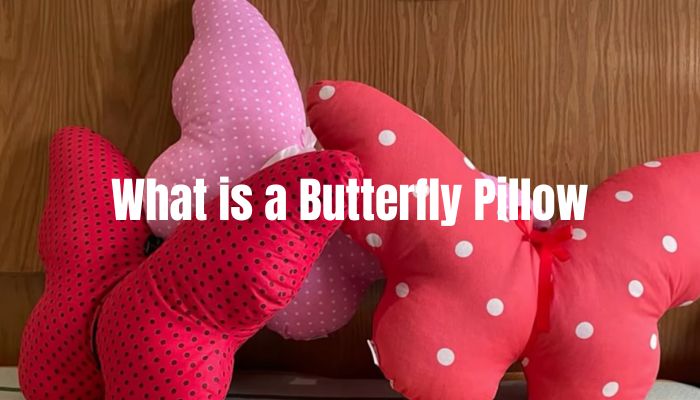 What is a Butterfly Pillow