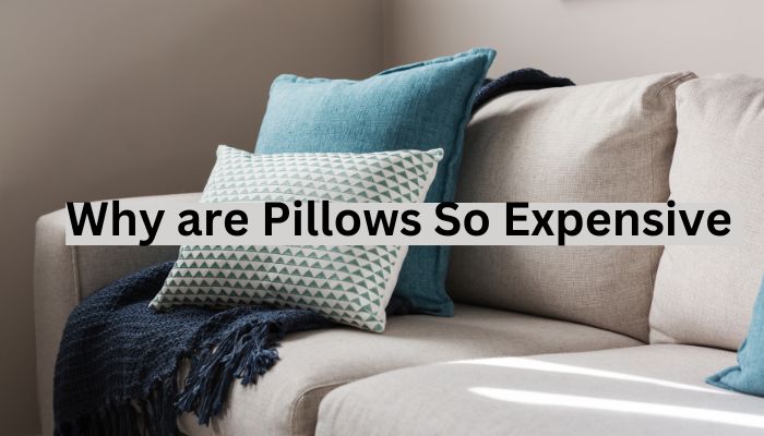 Why are Pillows So Expensive