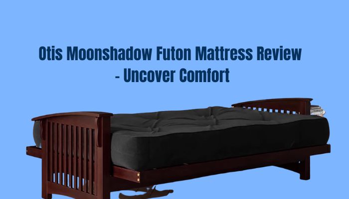 Otis Moonshadow Futon Mattress Review
