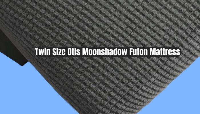 Twin Size Otis Moonshadow Futon Mattress