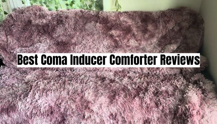 Best Coma Inducer Comforter Reviews