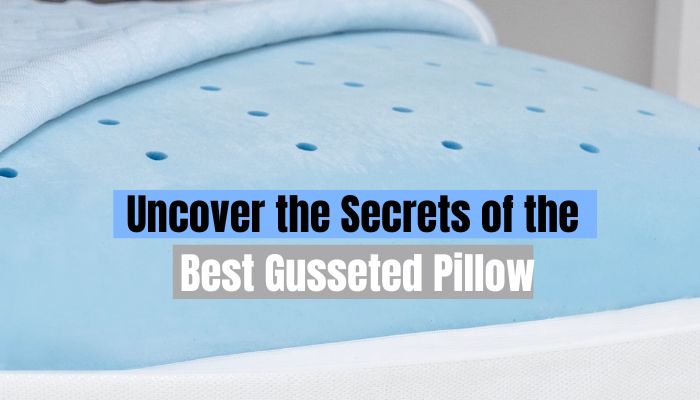  Best Gusseted Pillow