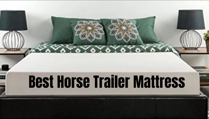 Best Horse Trailer Mattress