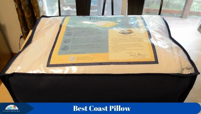 Best Coast Pillow