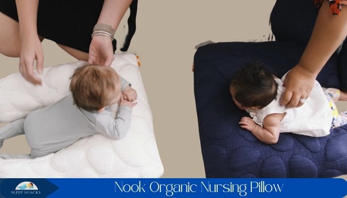 Nook Organic Nursing Pillow