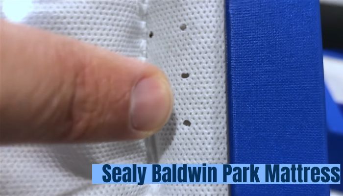 Sealy Baldwin Park Mattress