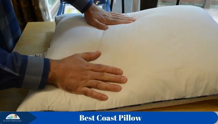 best pacific coast pillow