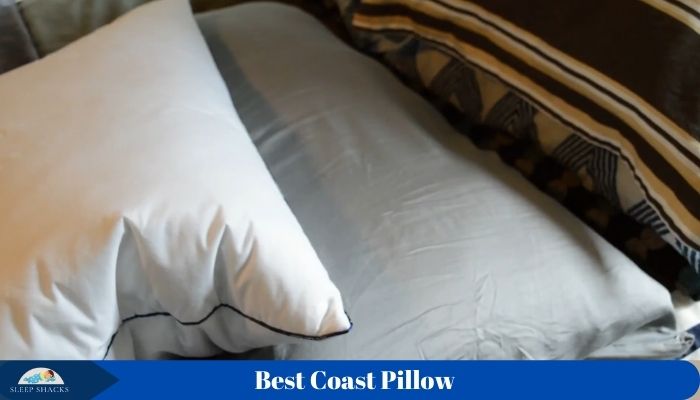 pacific coast feather best pillow