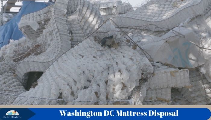 How to Dispose of Mattress 