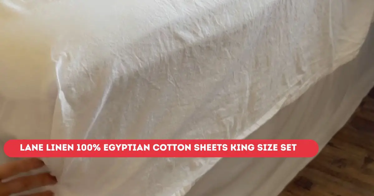 LANE LINEN 100% Egyptian Cotton Sheets King Size Set