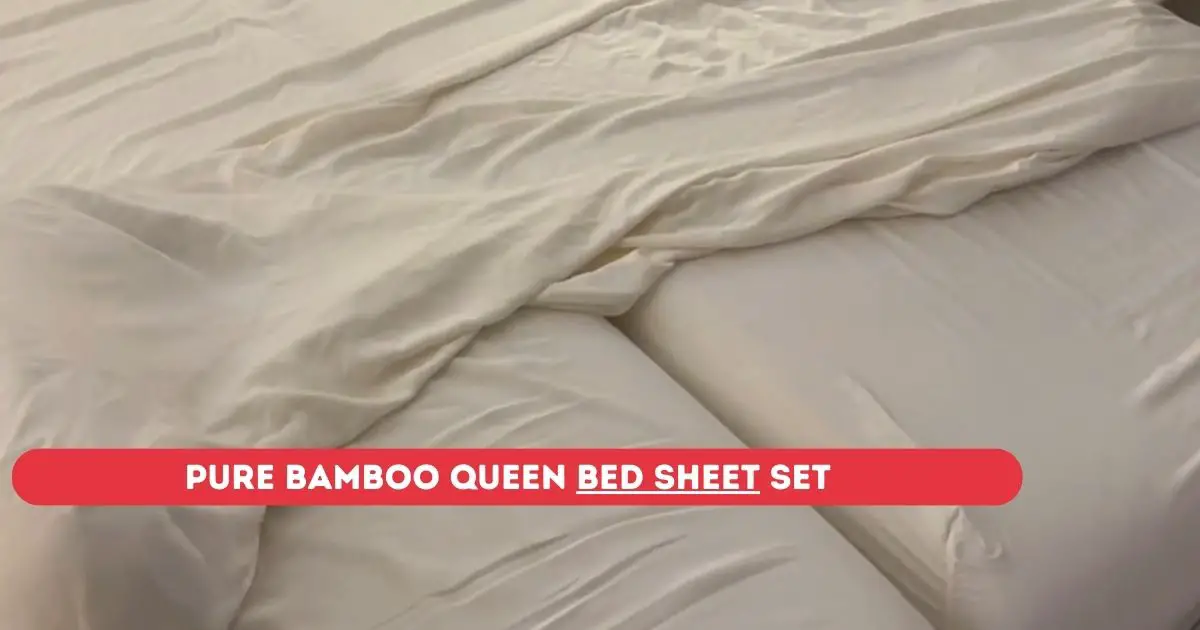 Pure Bamboo Queen Bed Sheet Set