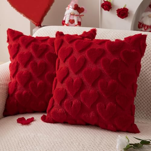 valentines pillow covers