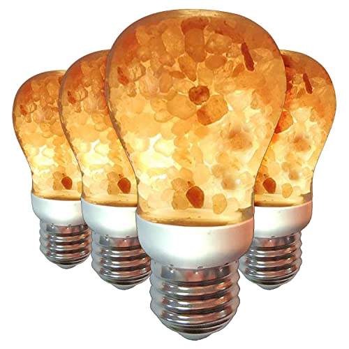Himalayan Salt Lamp Bulbs