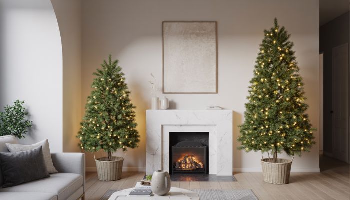 Lighted Trees for Home Decor
