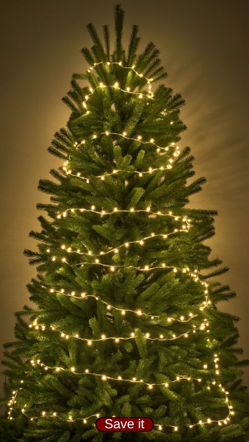 Lush Real Christmas Tree with Layered Zig-Zag Lighting Technique