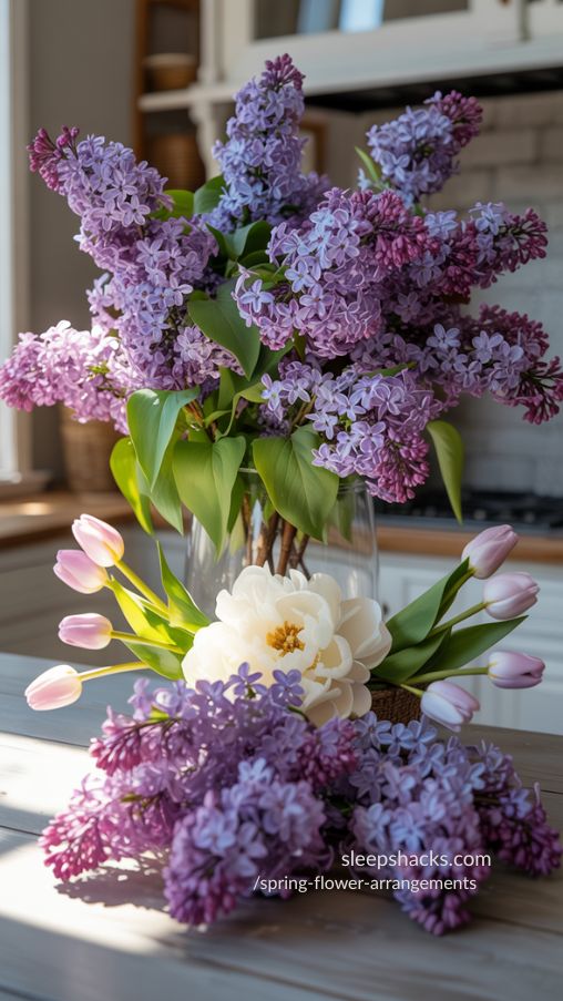 Lilac Height & Drama