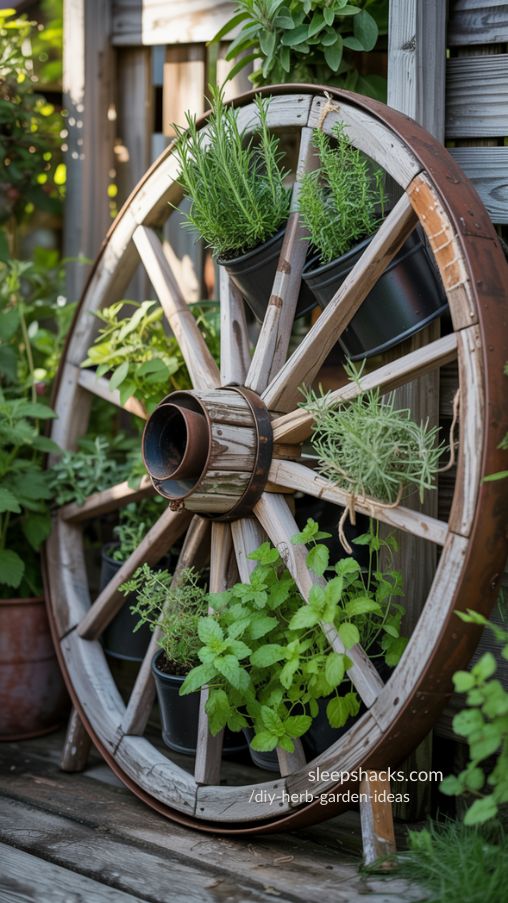 Rustic Wagon Wheel Herb Garden in Backyard