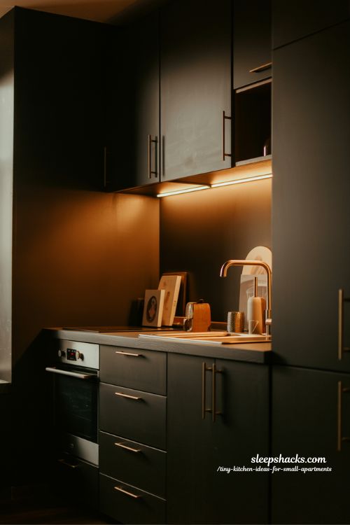 Dark Tiny Kitchen Ideas For Small Apartments With Modern Dramatic Style