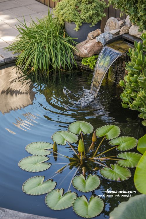 Plant-Filled Small Ponds With Waterfall Ideas Lush and Balanced Backyard
