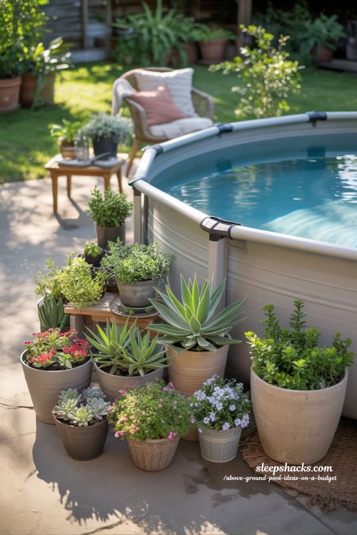 Potted Plants Around Above Ground Pool Budget Backyard Idea