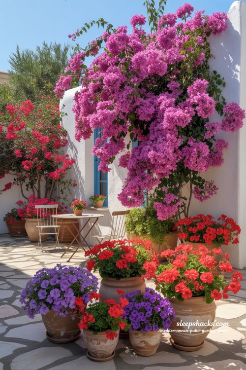 Bright Mediterranean Stone Patio with Vibrant Pink Bougainvillea and Red Geranium Accents