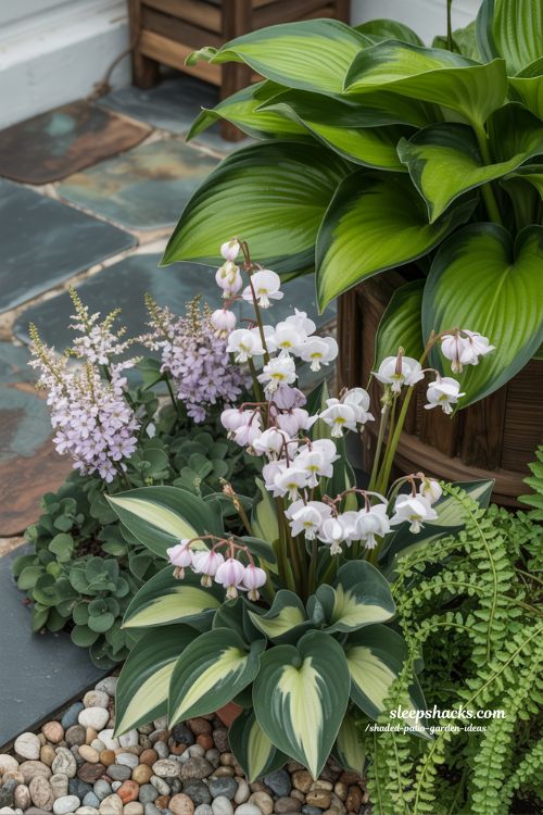 Charming Shade-Loving Flowers for Your Patio Garden