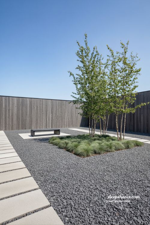 Contemporary Minimalist Gravel Garden with Concrete Pavers and Birch Trees