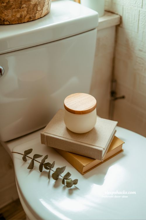 Cozy Bibliostyle: Styling Your Toilet Tank with Books