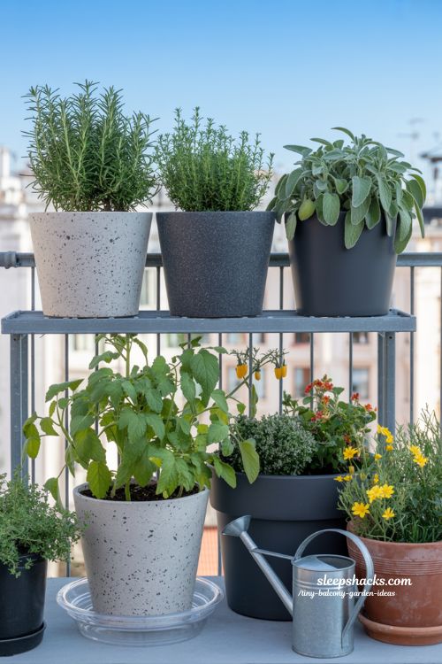 Curated and Light-Weight Container Selection for a Tiny Balcony