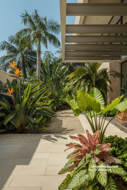 Dynamic Light-Balanced Tropical Landscape