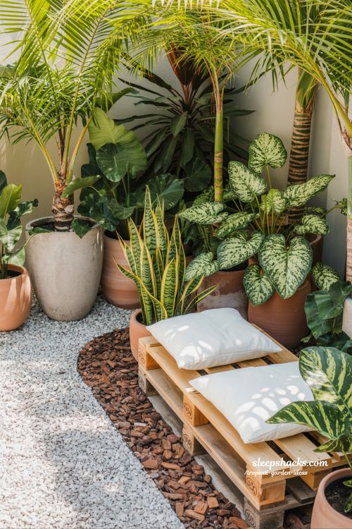 Eco-Chic Tropical Corner with Layered Textures