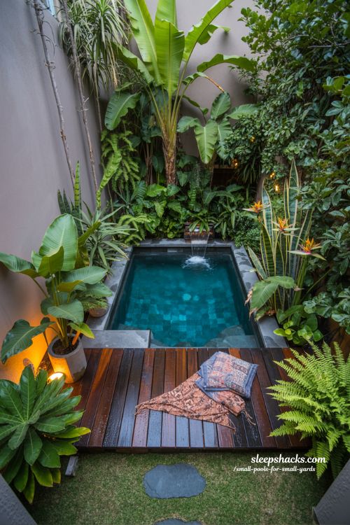 Escape Today: Your Private Tropical Oasis in a Small Yard
