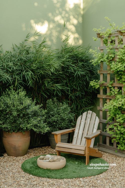 Green privacy ideas using tall bamboo and climbing vines to create a natural living fence for a small backyard oasis