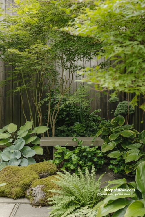 How to Layer Plants for a Lush Shaded Patio Garden