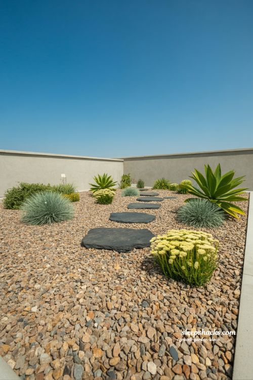 Low Maintenance Flint Gravel Garden with Drought Tolerant Grasses and Agave
