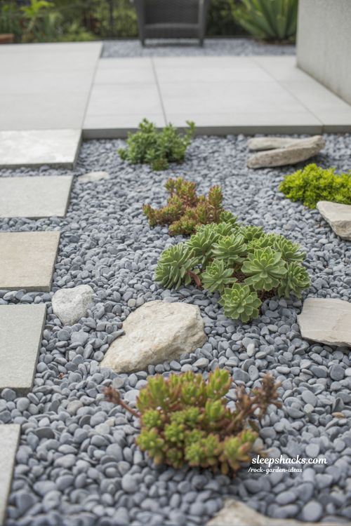 Low-Maintenance Small Rock Garden Ideas for a Worry-Free Backyard