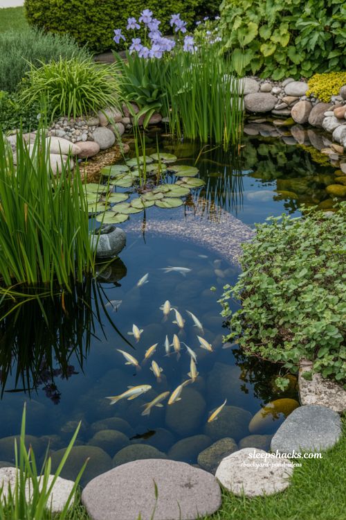 Low maintenance backyard pond ideas with natural biological filtration and clear water