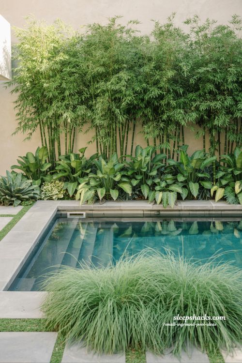 Lush Layered Landscaping for Small Inground Pools with Privacy Greenery