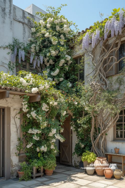 Lush Mediterranean Patio with Climbing Jasmine and Wisteria-Covered Trellises on Rustic Walls