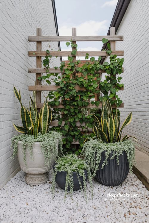 Modern Small Space Gravel Garden with Tiered Planters and Vertical Greenery