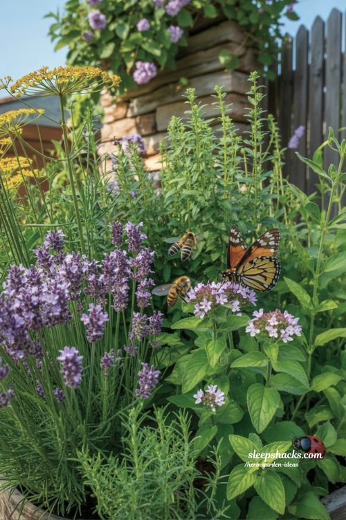 Plants that Give Back: Create a Pollinator-Friendly Herb Garden