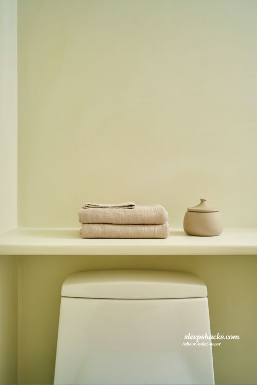 Quiet Luxury Minimalist Shelving Above Toilet with Neutral Accents