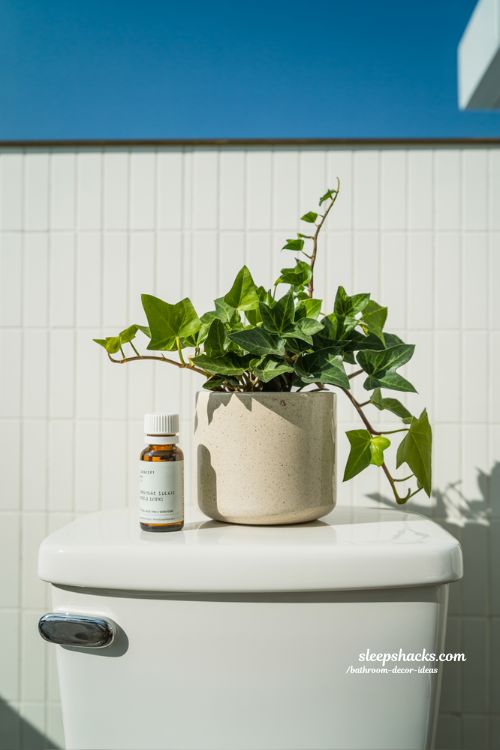 Refreshing Toilet Tank Decor Ideas with Small Plants