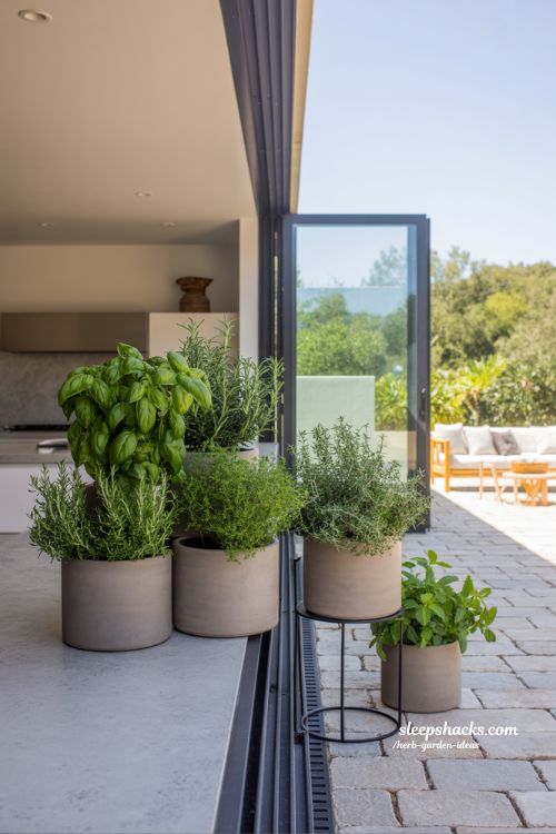 Seamless Flow: Simple Indoor-Outdoor Herb Garden Ideas