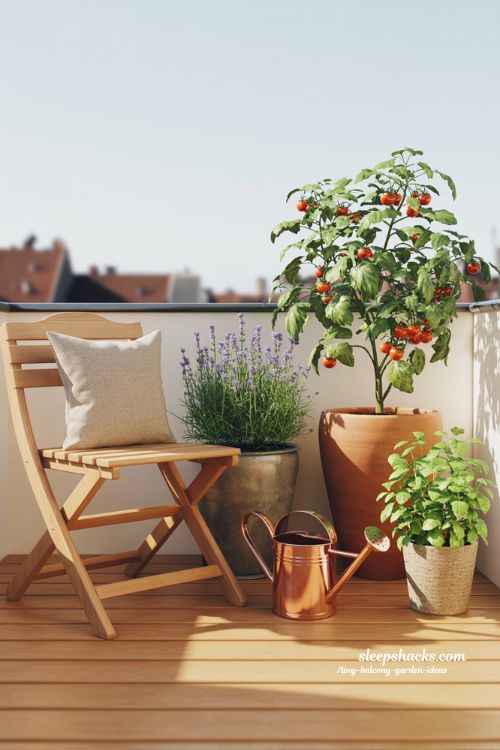 Simple and Encouraging Beginner Balcony Garden with Minimalist Setup