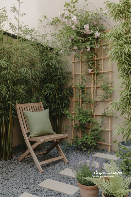 Simple privacy garden ideas using plants to create a peaceful and private outdoor space
